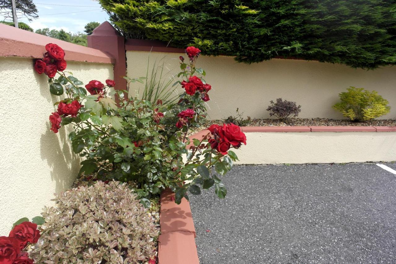 Seacourt Accommodation Tramore - Adult Only Exteriör bild